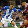 Brighton vs West Ham: Premier League Showdown Ahead