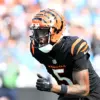 Tee Higgins: The Journey of an NFL Rising Star