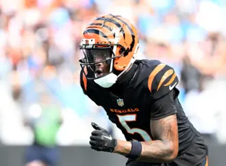 Tee Higgins: The Journey of an NFL Rising Star