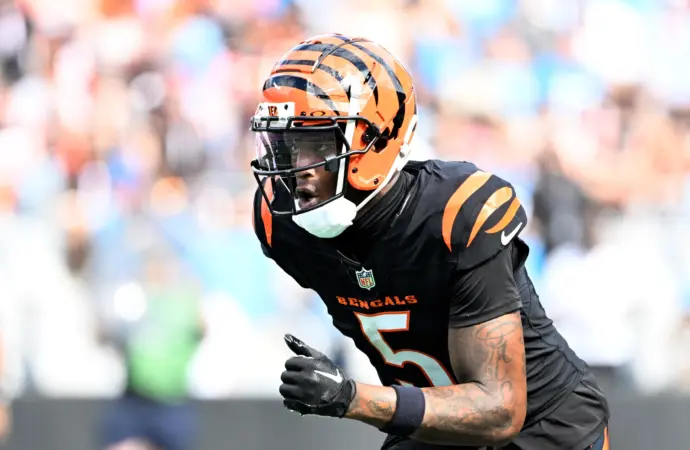Tee Higgins: The Journey of an NFL Rising Star