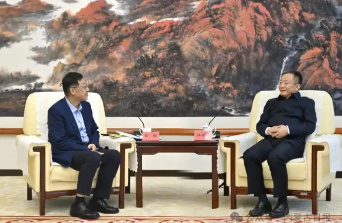 The Rise of 孙绍骋 in Chinese Politics
