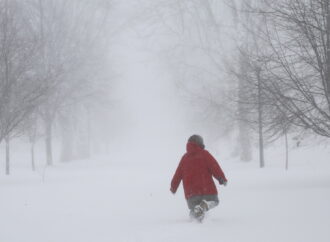 Alerta por Tormenta de Invierno: Lo Que Necesitas Saber