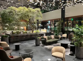 Understanding Amex Centurion Lounge Access