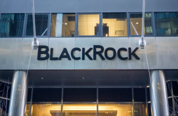 The Role of BlackRock in Global Financial Markets