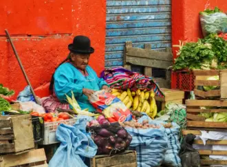 Exploring the Ties Between Bolivia and México