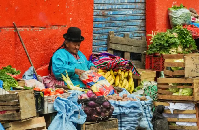 Exploring the Ties Between Bolivia and México