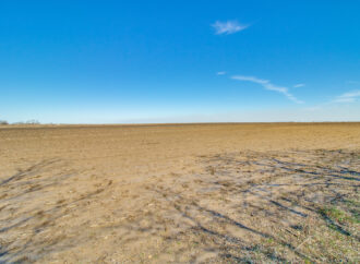 Discovering the Charm of Bonham TX