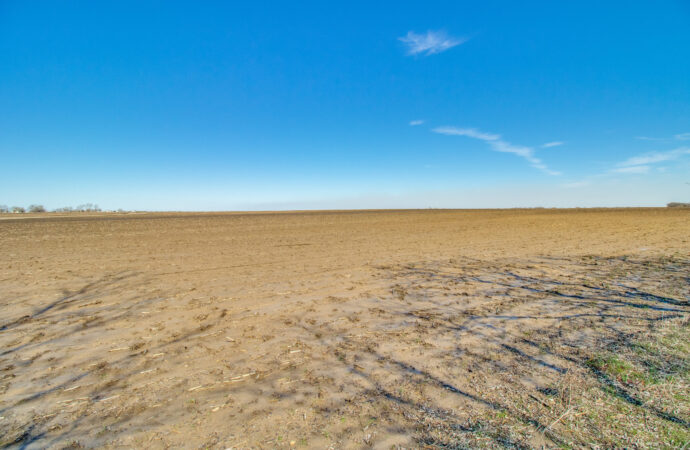 Discovering the Charm of Bonham TX