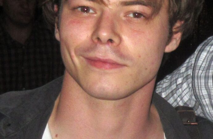 The Rise of Charlie Heaton: From Stranger Things to Hollywood