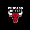 Chicago Bulls: Highlights and Expectations for the 2023 Season