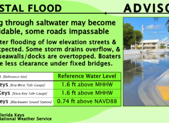 Understanding Coastal Flood Advisories and Their Implications