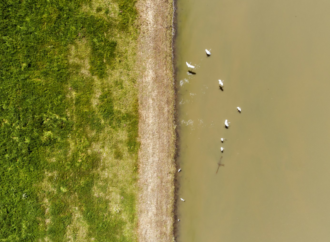 Understanding Coastal Flood Statements and Their Impact