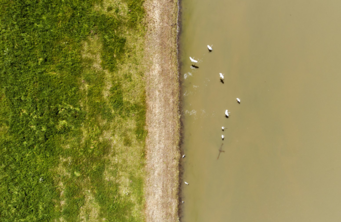 Understanding Coastal Flood Statements and Their Impact