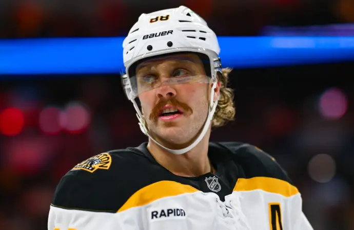 The Rise of David Pastrnak: A Star in the NHL
