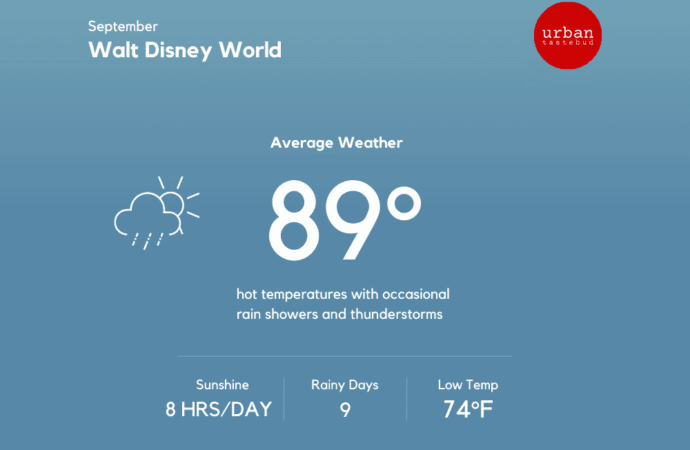 Understanding Disney World Weather: A Seasonal Guide