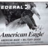 Current Federal Government Status: What You Need to Know
