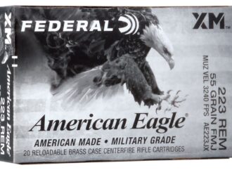 Current Federal Government Status: What You Need to Know
