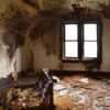 Understanding Fire Damage Restoration Services