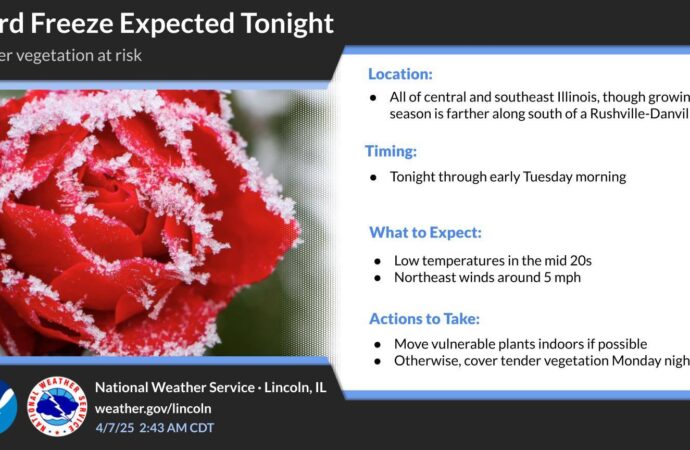 Understanding Freeze Warnings: Importance and Impact