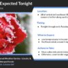 Important Freeze Warning Alerts for Your Area