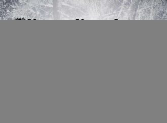 Kings vs Red Wings: A Thrilling NHL Showdown