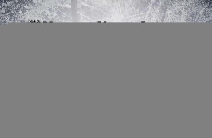 Kings vs Red Wings: A Thrilling NHL Showdown