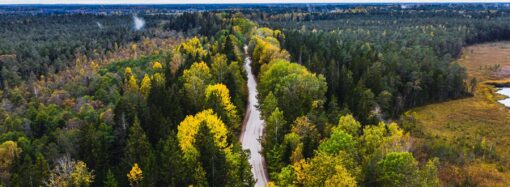 Exploring Lithuania: Culture, Economy, and Future Prospects