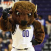 Lipscomb Basketball: A Closer Look at the Program’s Growth