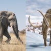 Mammoth vs Hurricanes: Nature’s Ancient Beasts and Modern Storms