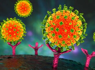Understanding the Nipah Virus and Its Impact