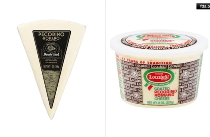 Recent Recall of Pecorino Romano Cheese Raises Concerns