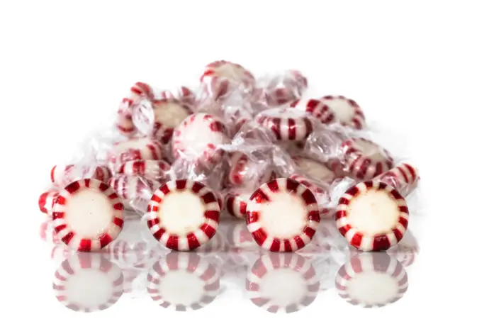 Insights into Primrose Candy Chapter 11