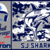 Current Developments for SJ Sharks: A Season in Review