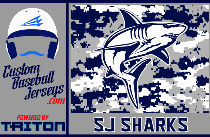 Current Developments for SJ Sharks: A Season in Review