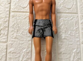 Discover the Magic of Sparkle Beach Ken
