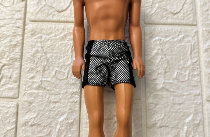 Discover the Magic of Sparkle Beach Ken