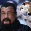 The Multifaceted Career of Steven Seagal