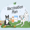 The Crucial Role of Vaccines in Public Health Today