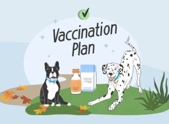 The Crucial Role of Vaccines in Public Health Today