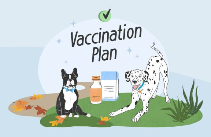 The Crucial Role of Vaccines in Public Health Today