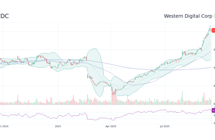 Understanding WDC Stock: Performance and Future Outlook