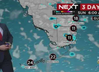 Current Weather Trends and Forecasts in Miami