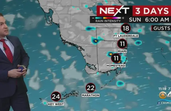 Current Weather Trends and Forecasts in Miami