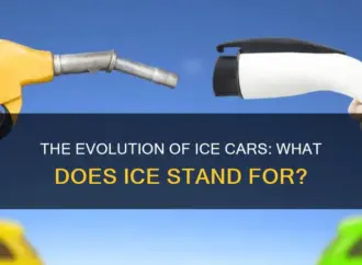 Understanding What ICE Stands For in Different Contexts