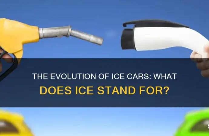 Understanding What ICE Stands For in Different Contexts