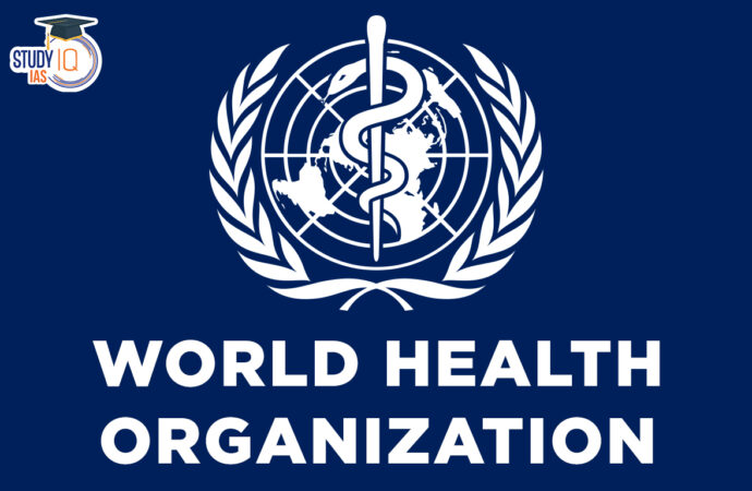 Understanding the World Health Organization’s Impact on Global Health