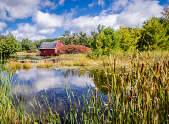 Exploring the Rapid Growth of Zimmerman MN