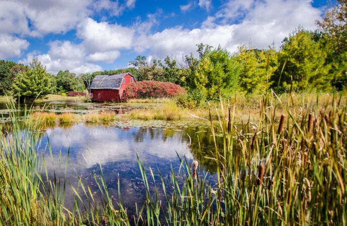 Exploring the Rapid Growth of Zimmerman MN