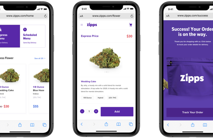 Exploring Zipps: Revolutionizing Delivery with Zipline Technology