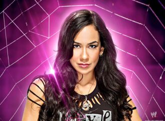 The Remarkable Journey of AJ Lee in Professional Wrestling